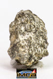 08902 - Fragment 1.496 g NWA Monomict Eucrite Achondrite with Fresh Fusion Crust Meteorite