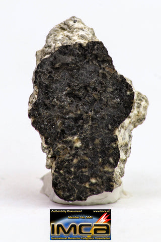 08903 - Fragment 1.541 g NWA Monomict Eucrite Achondrite with Fresh Fusion Crust Meteorite