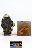 08903 - Fragment 1.541 g NWA Monomict Eucrite Achondrite with Fresh Fusion Crust Meteorite