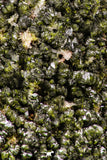 07811 - Slender Grass Green Epidote Crystals on Matrix Imilchil Mine Morocco