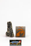 08904 - Fragment 1.539 g NWA Monomict Eucrite Achondrite with Fresh Fusion Crust Meteorite
