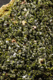 07811 - Slender Grass Green Epidote Crystals on Matrix Imilchil Mine Morocco