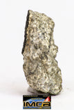 08905 - Fragment 2.274 g NWA Monomict Eucrite Achondrite with Fresh Fusion Crust Meteorite