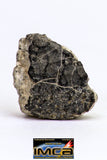 08906 - Fragment 1.234 g NWA Monomict Eucrite Achondrite with Fresh Fusion Crust Meteorite
