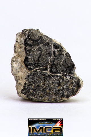 08906 - Fragment 1.234 g NWA Monomict Eucrite Achondrite with Fresh Fusion Crust Meteorite
