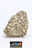 08906 - Fragment 1.234 g NWA Monomict Eucrite Achondrite with Fresh Fusion Crust Meteorite