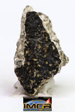 08908 - Fragment 2.119 g NWA Monomict Eucrite Achondrite with Fresh Fusion Crust Meteorite