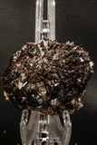 07814 - Top Beautiful 2.88 Inch Natural Quartz Crystals (hematoide variety) Jbel Saghro Mines