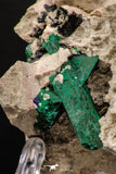 07815 - Beautiful Azurite + Malachite Crystals on Carbonate Matrix - Kerrouchen (Morocco)