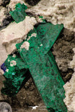 07815 - Beautiful Azurite + Malachite Crystals on Carbonate Matrix - Kerrouchen (Morocco)