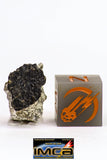 08909 - Fragment 1.279 g NWA Monomict Eucrite Achondrite with Fresh Fusion Crust Meteorite