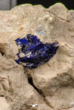 07815 - Beautiful Azurite + Malachite Crystals on Carbonate Matrix - Kerrouchen (Morocco)