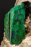 07816 - Beautiful Azurite + Malachite Crystals on Carbonate Matrix - Kerrouchen (Morocco)