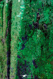 07816 - Beautiful Azurite + Malachite Crystals on Carbonate Matrix - Kerrouchen (Morocco)
