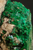 07816 - Beautiful Azurite + Malachite Crystals on Carbonate Matrix - Kerrouchen (Morocco)