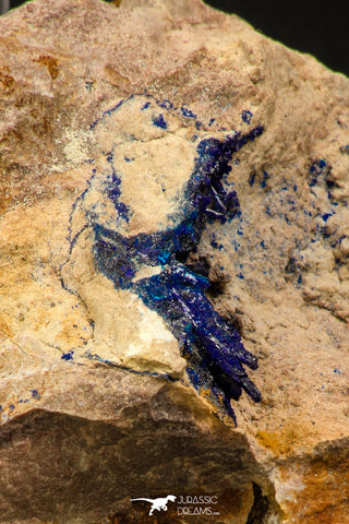 07817 - Beautiful Deep Blue Azurite Crystals on Carbonate Matrix - Kerrouchen (Morocco)