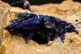 07817 - Beautiful Deep Blue Azurite Crystals on Carbonate Matrix - Kerrouchen (Morocco)