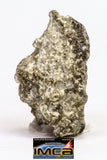 08911 - Fragment 2.679 g NWA Monomict Eucrite Achondrite Meteorite