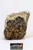 08913 - Fragments 6.954 g NWA Monomict Eucrite Achondrite with Fresh Fusion Crust Meteorites