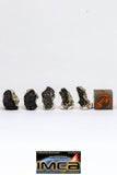 08915- Fragments 5.171 g NWA Monomict Eucrite Achondrite with Fresh Fusion Crust Meteorites
