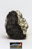 08915- Fragments 5.171 g NWA Monomict Eucrite Achondrite with Fresh Fusion Crust Meteorites