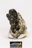 08915- Fragments 5.171 g NWA Monomict Eucrite Achondrite with Fresh Fusion Crust Meteorites