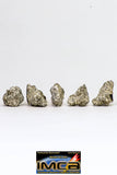 08915- Fragments 5.171 g NWA Monomict Eucrite Achondrite with Fresh Fusion Crust Meteorites