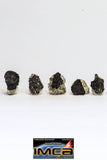 08916- Fragments 3.268 g NWA Monomict Eucrite Achondrite with Fresh Fusion Crust Meteorites