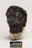 08916- Fragments 3.268 g NWA Monomict Eucrite Achondrite with Fresh Fusion Crust Meteorites