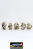 08916- Fragments 3.268 g NWA Monomict Eucrite Achondrite with Fresh Fusion Crust Meteorites
