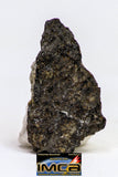 08917- Fragments 3.010 g NWA Monomict Eucrite Achondrite with Fresh Fusion Crust Meteorites