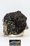 08917- Fragments 3.010 g NWA Monomict Eucrite Achondrite with Fresh Fusion Crust Meteorites