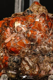 07724 - Top Beautiful 2.32 Inch Natural Quartz Crystals (hematoide variety) Jbel Saghro Mines