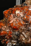 07724 - Top Beautiful 2.32 Inch Natural Quartz Crystals (hematoide variety) Jbel Saghro Mines