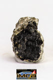 08918- Fragments 2.585 g NWA Monomict Eucrite Achondrite with Fresh Fusion Crust Meteorites