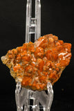 07726 - Top Beautiful 2.98 Inch Natural Quartz Crystals (hematoide variety) Jbel Saghro Mines