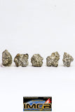 08918- Fragments 2.585 g NWA Monomict Eucrite Achondrite with Fresh Fusion Crust Meteorites