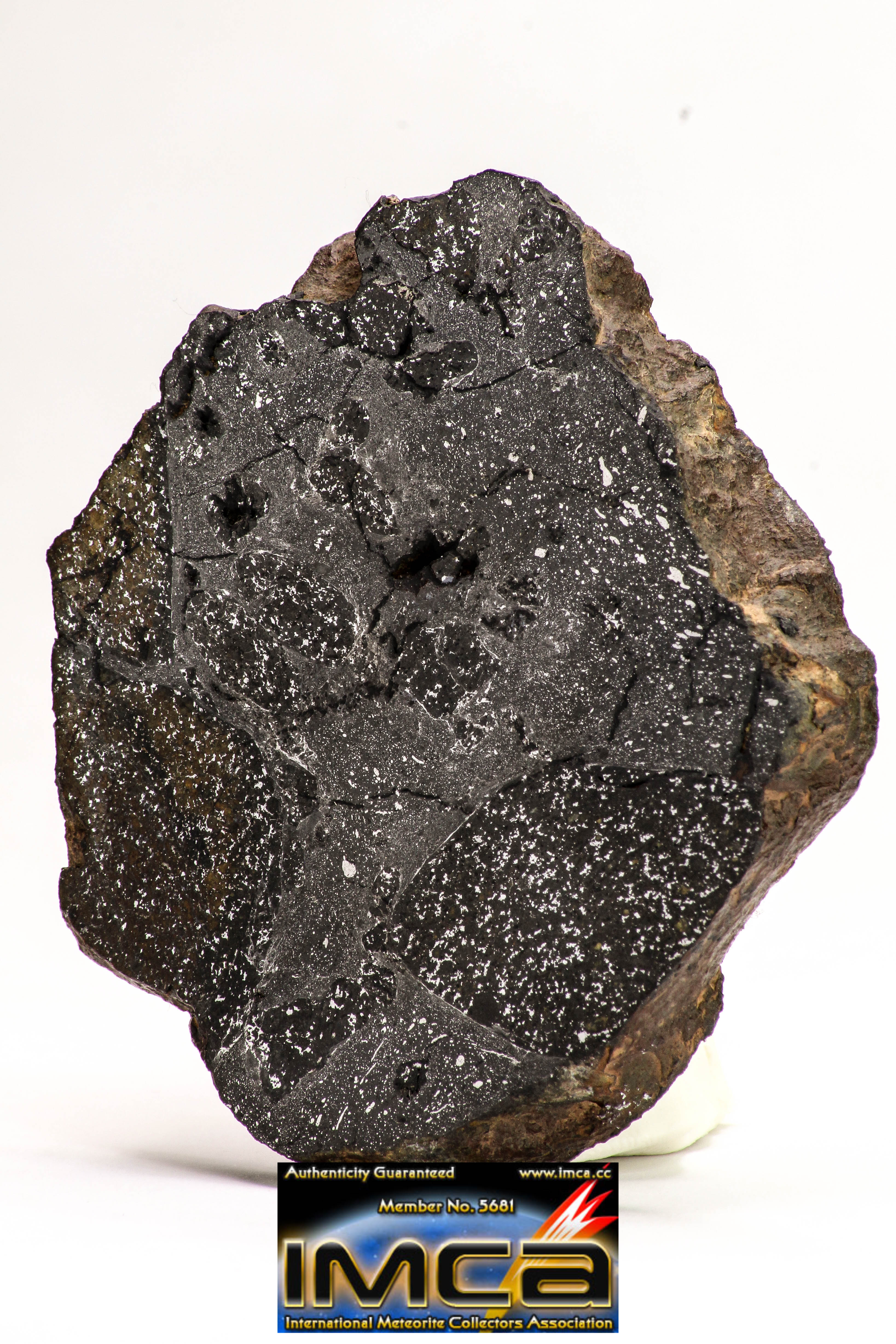 Brahin 106.35g Pallasite Meteorite, Thick Slice, Recently