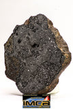 08919 -Top Rare NWA IMB - L Impact Melt Breccia Chondrite Meteorite Polished Section 115.4 g