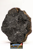 08919 -Top Rare NWA IMB - L Impact Melt Breccia Chondrite Meteorite Polished Section 115.4 g