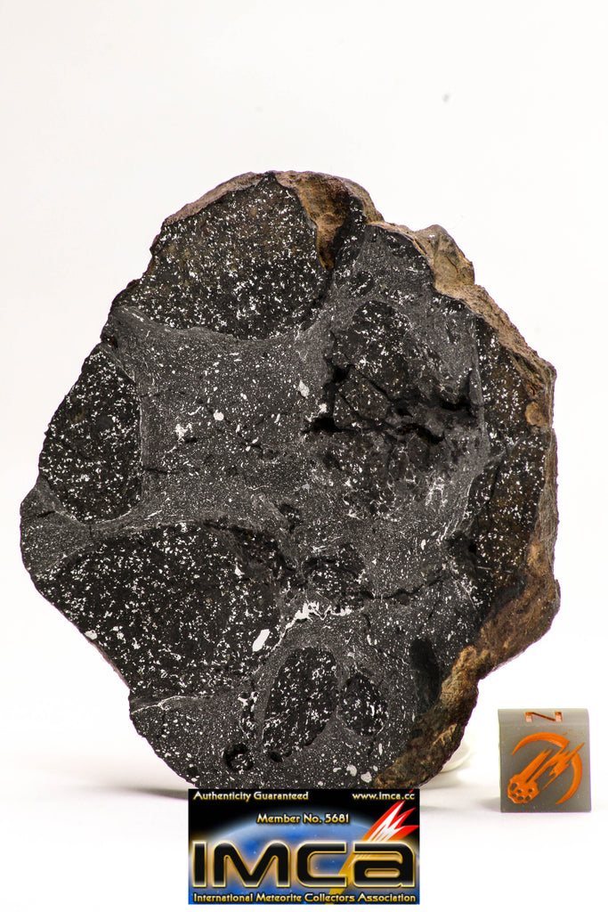 08919 -Top Rare NWA IMB - L Impact Melt Breccia Chondrite Meteorite Polished Section 115.4 g