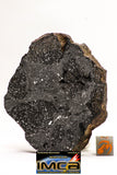08919 -Top Rare NWA IMB - L Impact Melt Breccia Chondrite Meteorite Polished Section 115.4 g