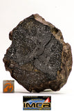08920 -Top Rare NWA IMB Impact Melt Breccia Chondrite Meteorite Polished Section 120.4 g