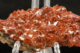 07728 - Top Beautiful 3.50 Inch Natural Quartz Crystals (hematoide variety) Jbel Saghro Mines