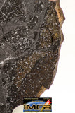 08920 -Top Rare NWA IMB Impact Melt Breccia Chondrite Meteorite Polished Section 120.4 g