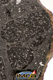 08921 -Top Rare NWA IMB Impact Melt Breccia Chondrite Meteorite Polished Section 100.1 g
