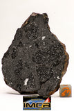 08921 -Top Rare NWA IMB Impact Melt Breccia Chondrite Meteorite Polished Section 100.1 g