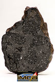 08921 -Top Rare NWA IMB Impact Melt Breccia Chondrite Meteorite Polished Section 100.1 g