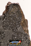 08921 -Top Rare NWA IMB Impact Melt Breccia Chondrite Meteorite Polished Section 100.1 g