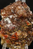 07729 - Top Beautiful 3.09 Inch Natural Quartz Crystals (hematoide variety) Jbel Saghro Mines